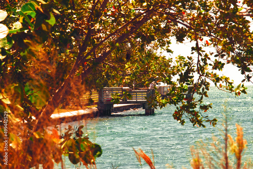 autumn in the park