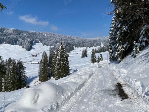 Winter snow idyll along the rural alpine road above the Obertoggenburg valley and on the slopes of the Alpstein mountain range - Nesslau, Switzerland (Schweiz)