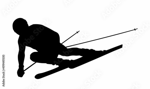 Skier
