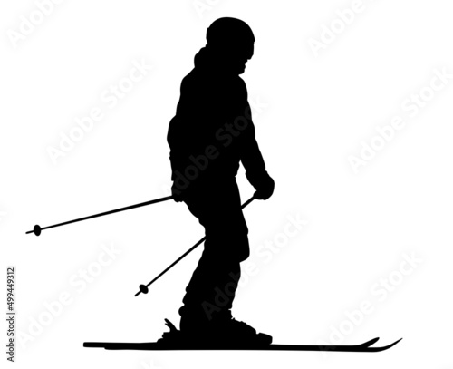 Skier