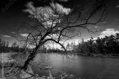 Stunning water and sunset views of Frontenac county and Lennox and Addington along Lake Ontario with wide angle scenics.   photo