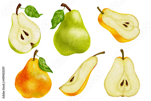 Set of watercolor ripe pears.  Summer fruit illustration.