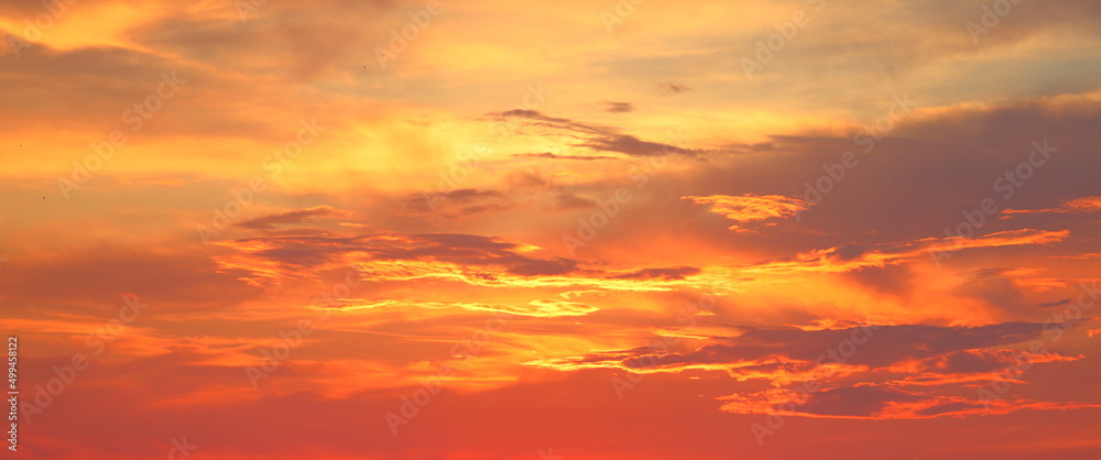 Natural beautiful bright saturated landscape view of sky sunrise or sunset with yellow orange red lilac clouds flying by small swallow birds on warm summer evening. Picture for wallpaper relaxation