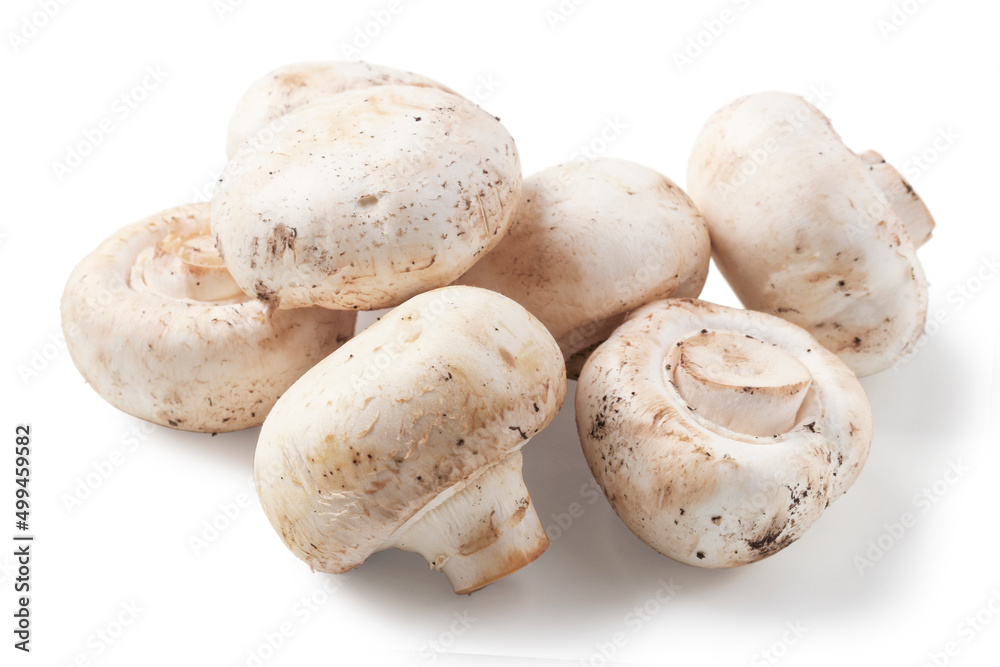 Fresh champignons