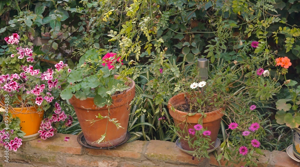 Courtyard, flower pot