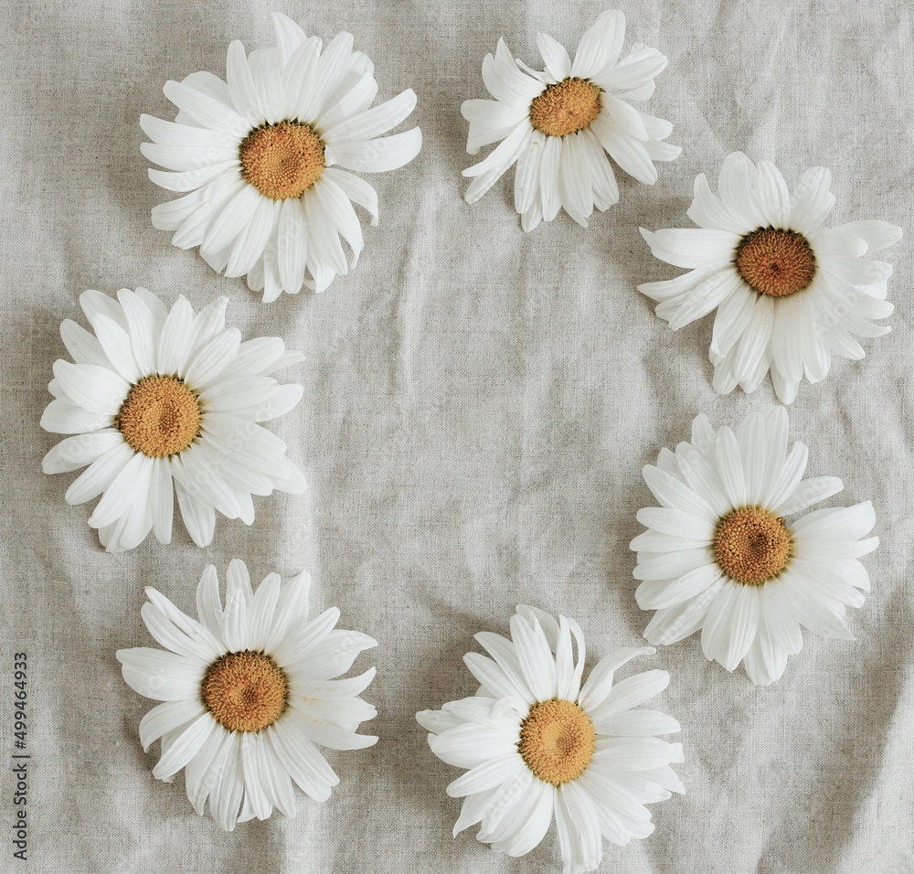 Obraz premium chamomile flowers pattern frame on beige linen texture top view, copy space.Daisy wreath background. toned. Poster