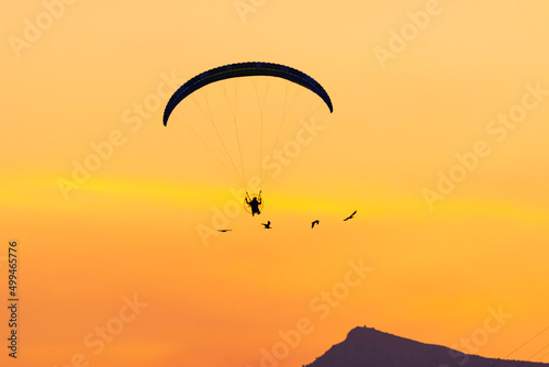 paraglider silhouette at sunset