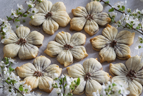 Shortbread cookies in shape of flower on grey background with white flowers. Selective focus