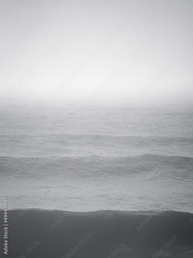 Fototapeta premium waves on the beach