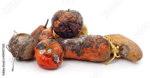 Heap of rotten vegetables and fruits. photo