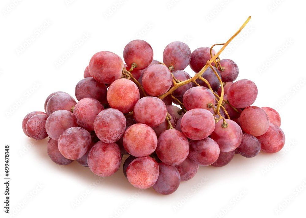 red grape path isolated on white red grape path isolated on white