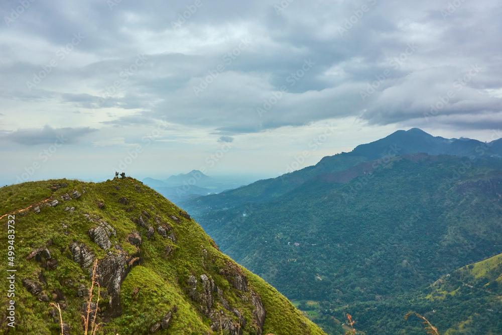 Mountains jungle forest hills fog summer