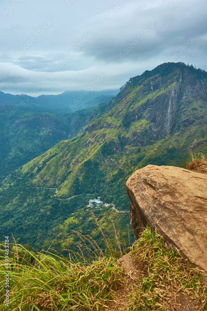Fototapeta premium Mountains jungle forest hills fog summer