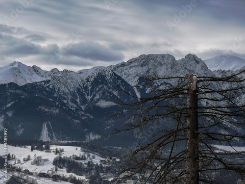 snow covered mountains