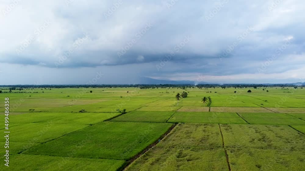 View of rice fields that will be harvested in the fasting month.
April 17 2022
Pinrang, Sulawesi Selatan Indonesia. View of rice fields that will be harvested in the fasting month.
April 17 2022
Pinrang, Sulawesi Selatan Indonesia.