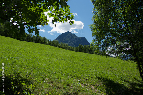 paesaggio di montagna sole montagne alberi e acqua