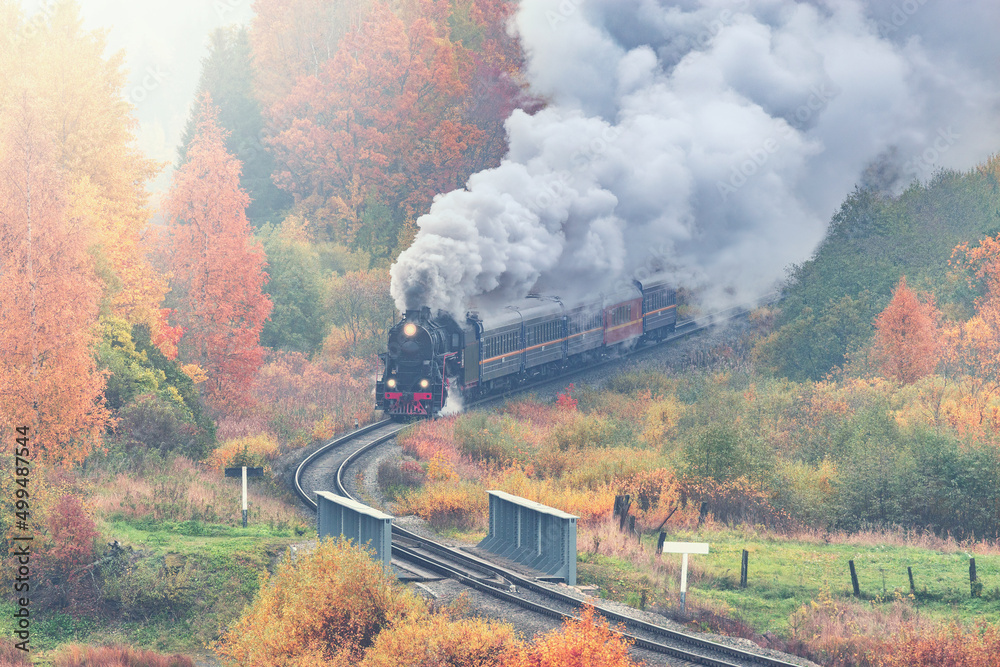 Retro steam train moves along the forest. Retro steam train moves along the forest.