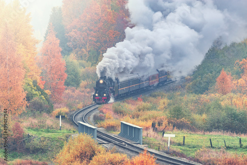 Retro steam train moves along the forest.