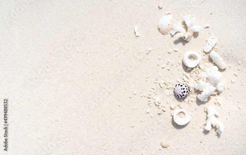 Fototapeta Naklejka Na Ścianę i Meble -  Minimalistic background with white sand and seashells
