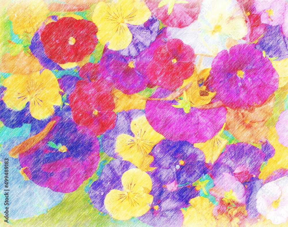 Colored pencil drawing of a pansy arrangement