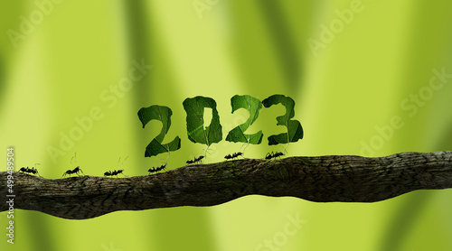 fourmis qui portent le nombre 2023 - rendu 3D photo