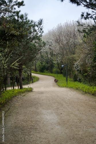 path in the park © DRBURHAN
