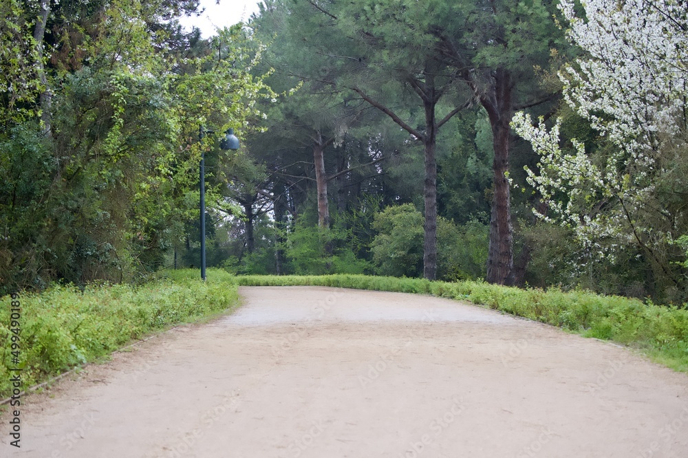 path in the park