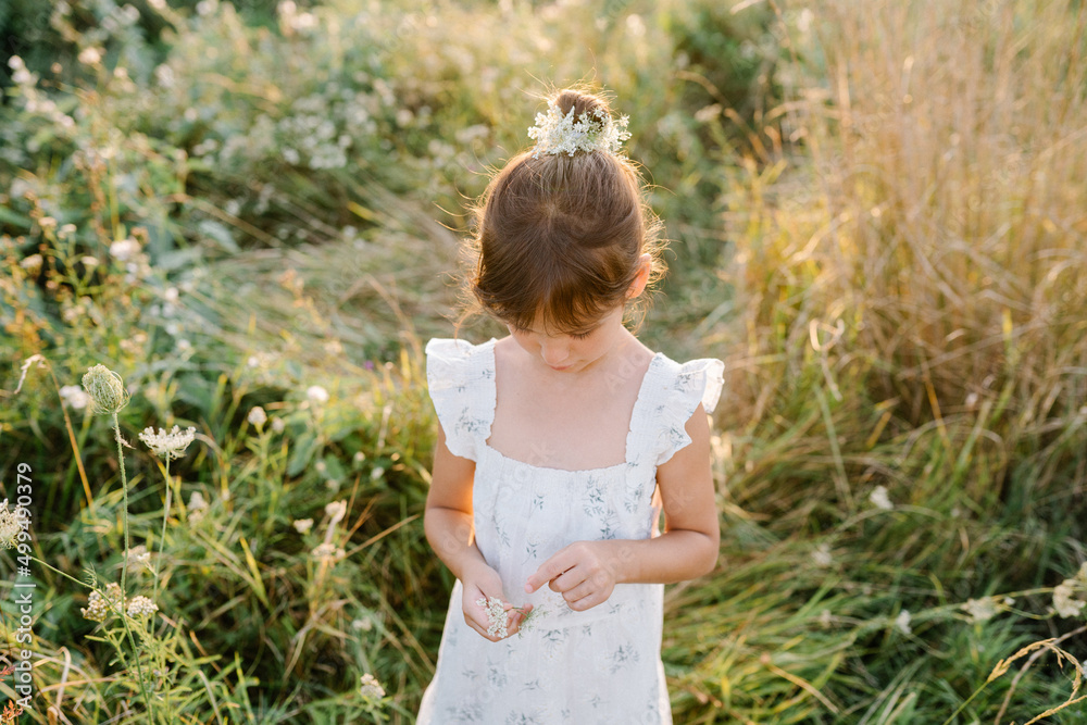 Happy little girl in the field of Queen Anne's Lace flower Happy little girl in the field of Queen Anne's Lace flower