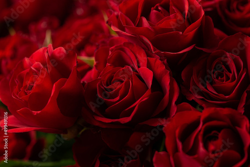 Obraz na płótnie Bouquet Of Beautiful red Roses. Trend color classic red. . Valentine's Day. Selective Focus. Roses wallpaper. Background w salonie