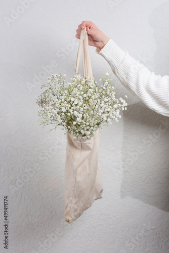 White Annual, Gypsophila Seeds