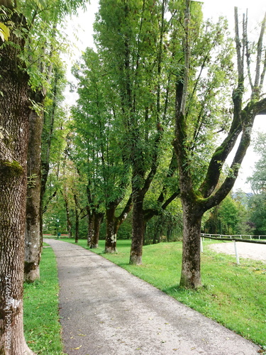 Parkweg