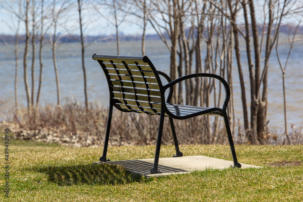 Fototapeta premium Metal bench in a park looking out onto the water