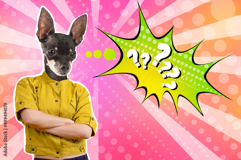 Little dog is thinking. Woman with the head of a toy terrier. Dog in