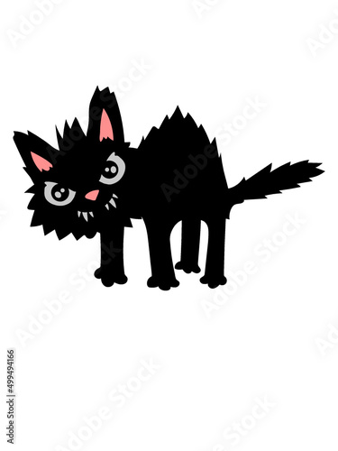 Lustige Böse Katze  photo