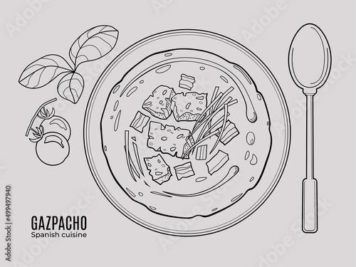 Gazpacho spanish vegetable soup. Top view outline doodle style illustration.