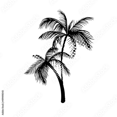 Palm object black. Vector illustration