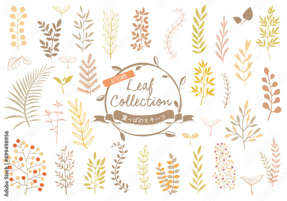 オータムリーフセット