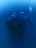   ship wreck underwater deep sea bottom metal on ocean floor scuba divers to explore