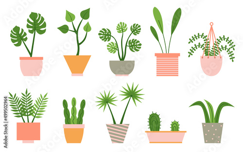 Houseplants in colorful pastel flower pots set. Urban jungle decor. For interior, botany, house decoration, web and app design. Cactus, sansevieria, monstera, fern, hanging flower. Vector illustration