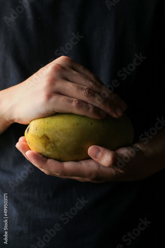 Hands hold mango. Fresh fruit. Tropical fruit for good eating health care.