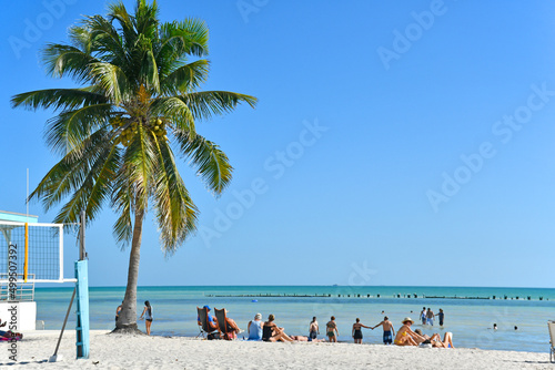 Tourists and vacationers relaxing under a palm tree at Higgs Memorial Beach Park in Key West Florida