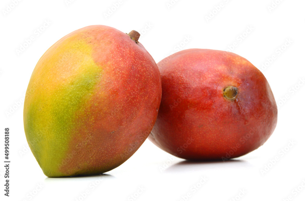 Mango fruits isolated on white background Mango fruits isolated on white background