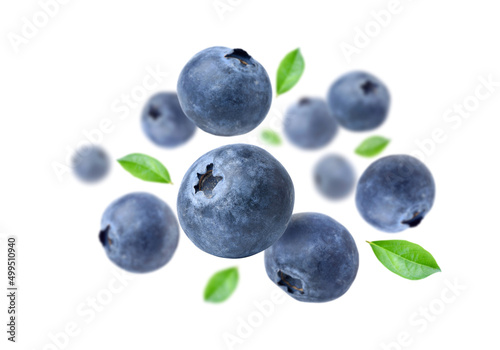 Blueberries with leaves  levitate isolated on a white background.