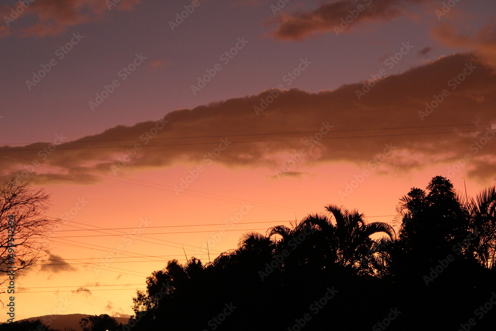 Sunset with silhouette of palm trees on the Gold Coast Queensland