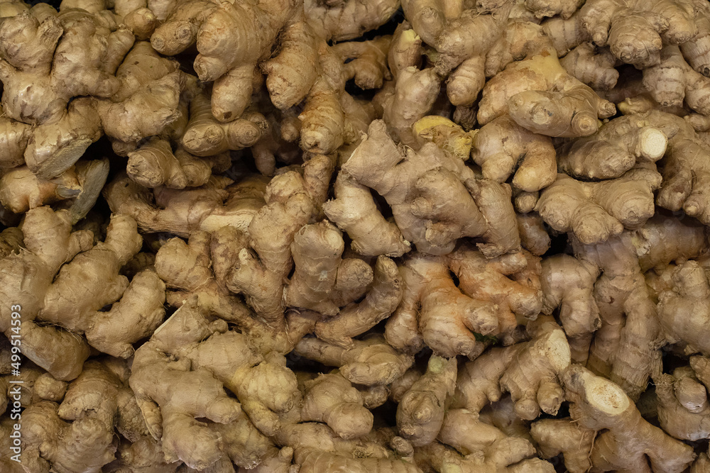 Ginger roots in bulk backdrop Ginger roots in bulk backdrop