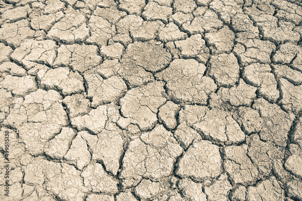 Landscape ground cracks drought crisis environment background. Landscape ground cracks drought crisis environment background.