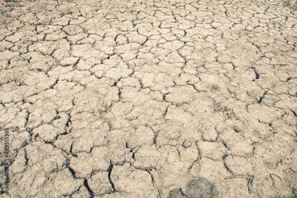 Landscape ground cracks drought crisis environment background. Landscape ground cracks drought crisis environment background.