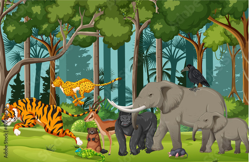 Wild animals in nature forest scene