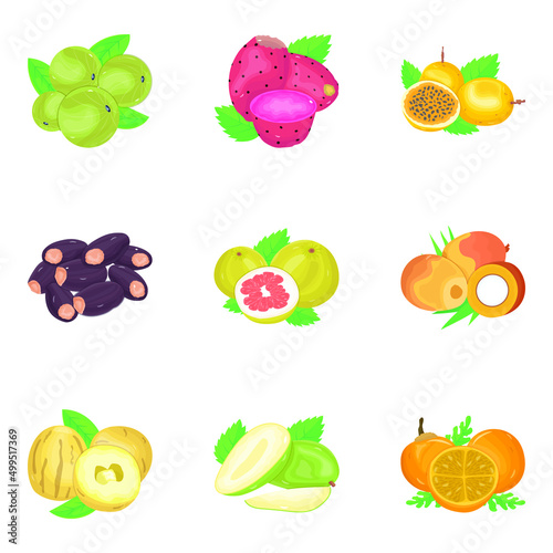 Pack of Organic Food Isometric Icons 