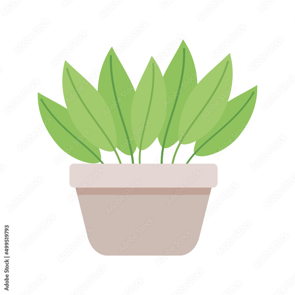 houseplant in beige pot houseplant in beige pot